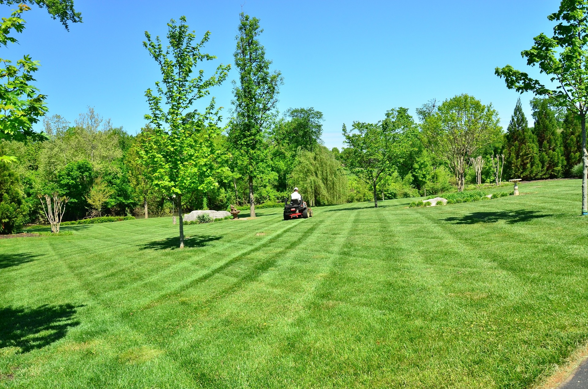 Common Responsibilities of Landscaping Contractors